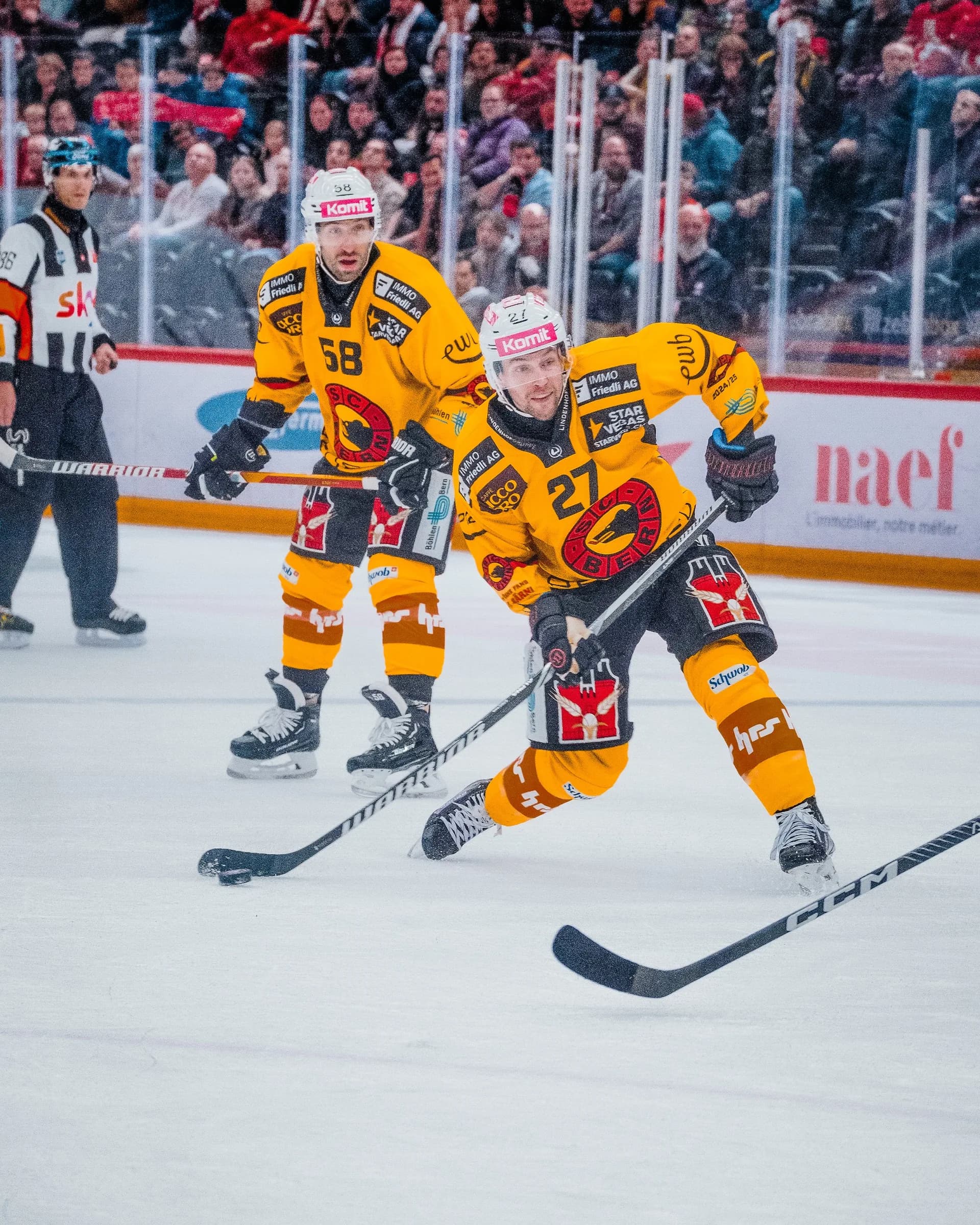 Hockey — photo 9 de Jimmy De Lorenzi